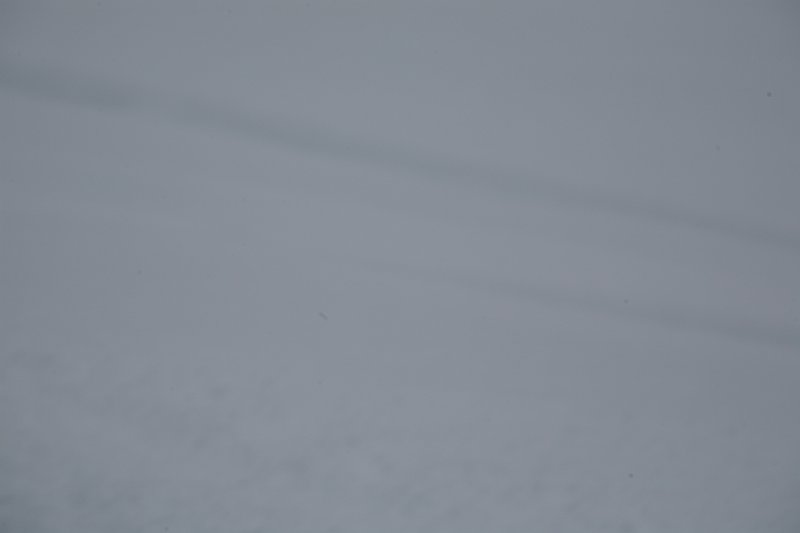 IMG_9914.JPG