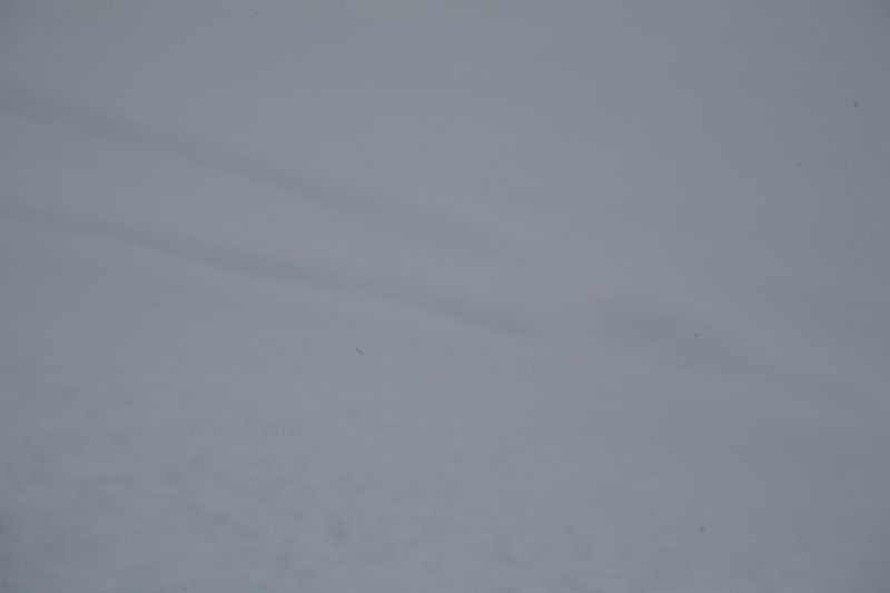 IMG_9915.JPG