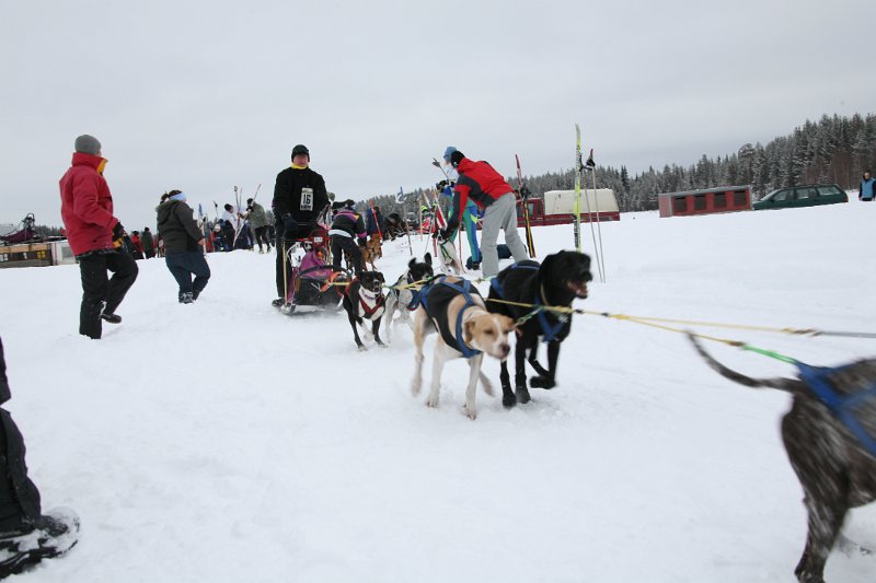 IMG_9961.JPG