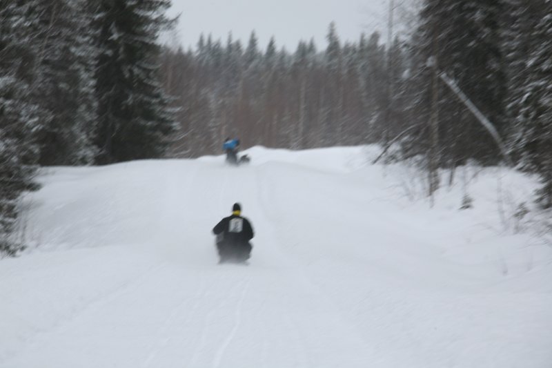 IMG_9993.JPG