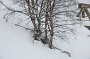 IMG_0039