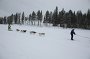 IMG_9737