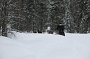 IMG_9982