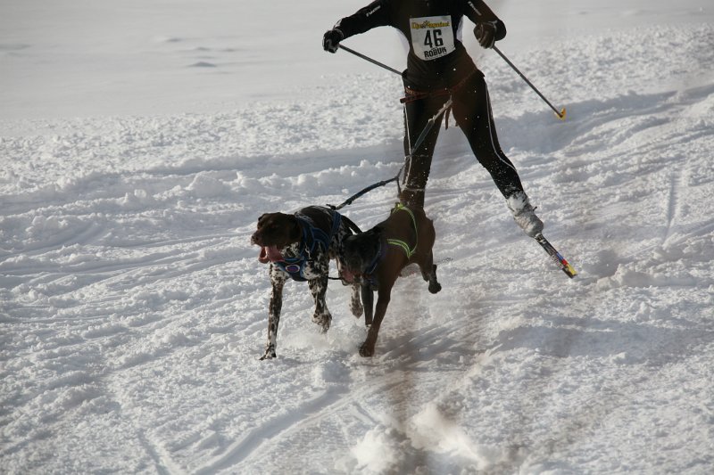IMG_0827.JPG