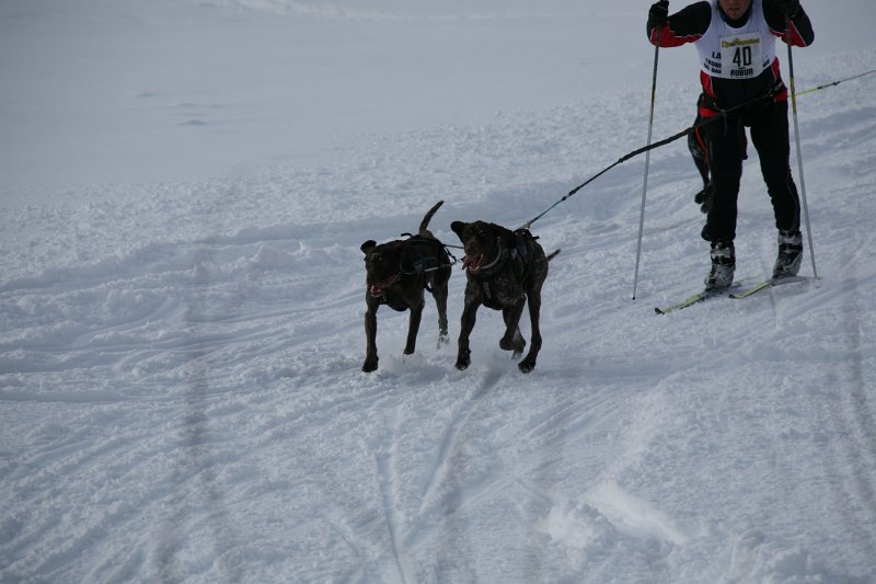 IMG_0841.JPG