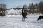 IMG_0456