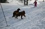 IMG_0474