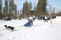 IMG_0636