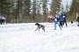 IMG_0662