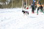 IMG_0702