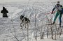 IMG_0833