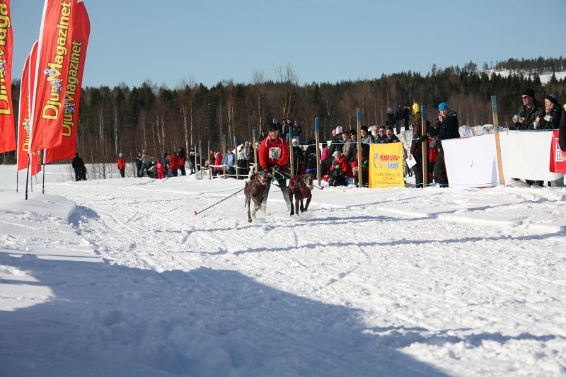 IMG_1317.JPG