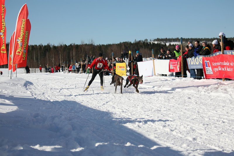 IMG_1319.JPG