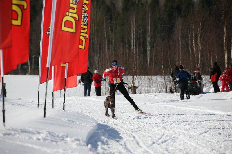IMG_1324.JPG