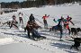 IMG_1031