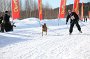 IMG_1460