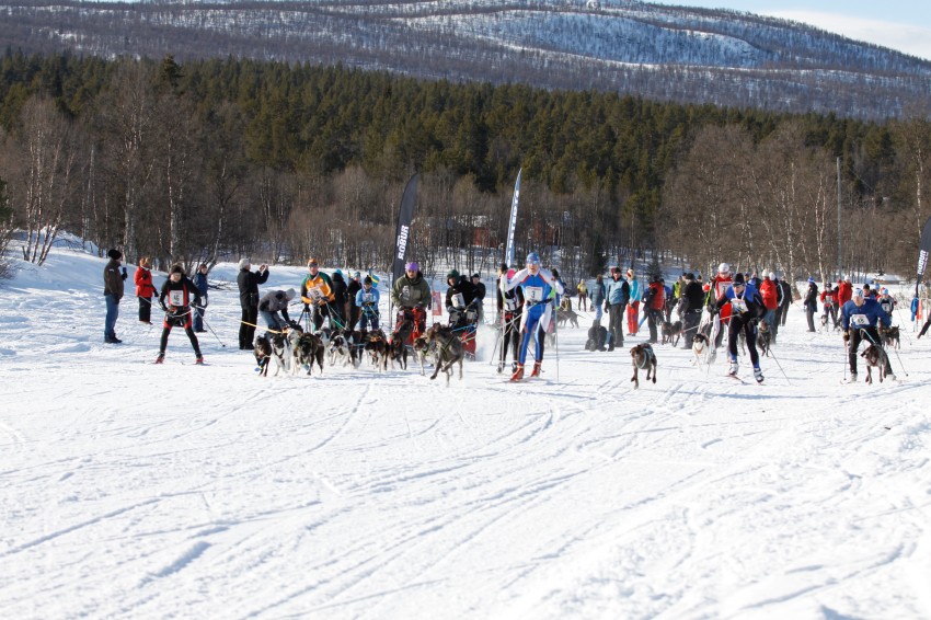 _MG_7217.jpg