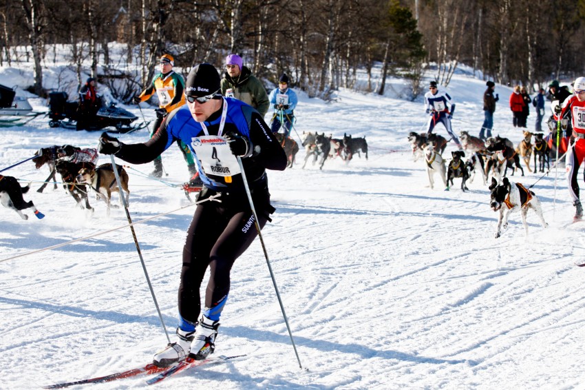 _MG_7231.jpg