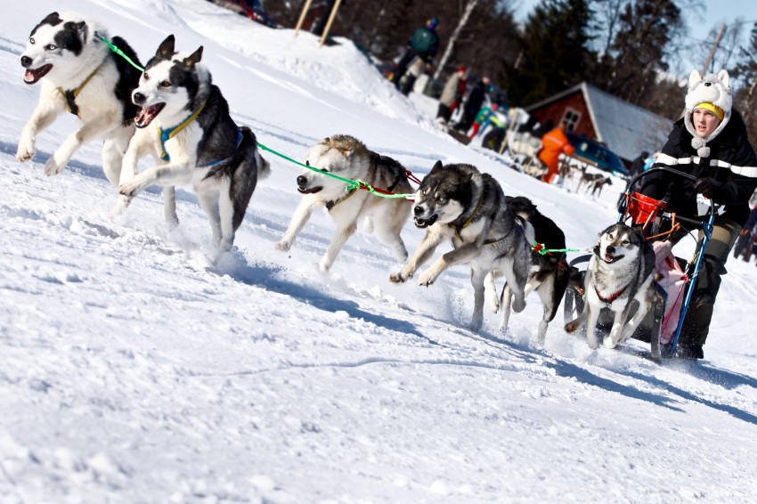 _MG_7440.jpg