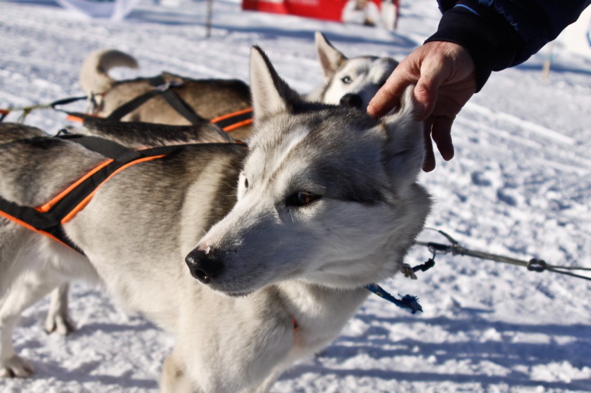 _MG_7892.jpg