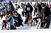 IMG_7190.jpg