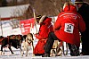 _MG_7048.jpg