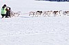 _MG_7564.jpg