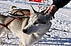 _MG_7892.jpg