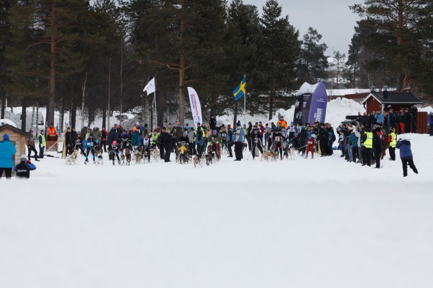 _MG_8066.jpg