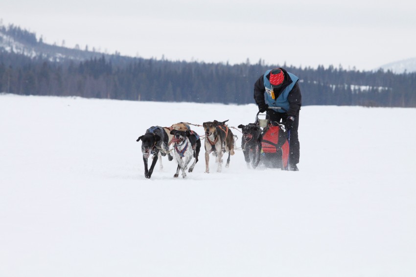 _MG_8186.jpg