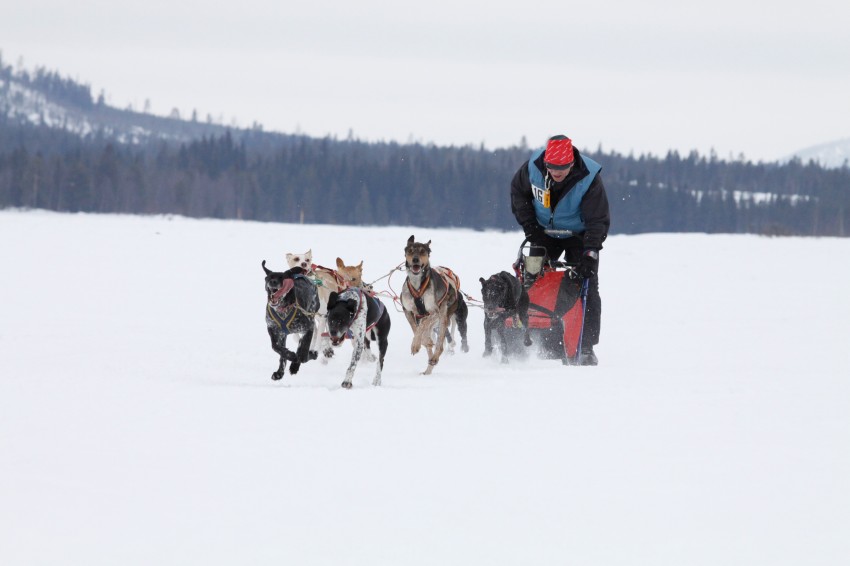 _MG_8187.jpg