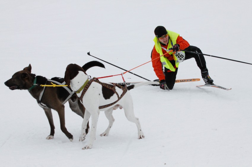 _MG_8467.jpg