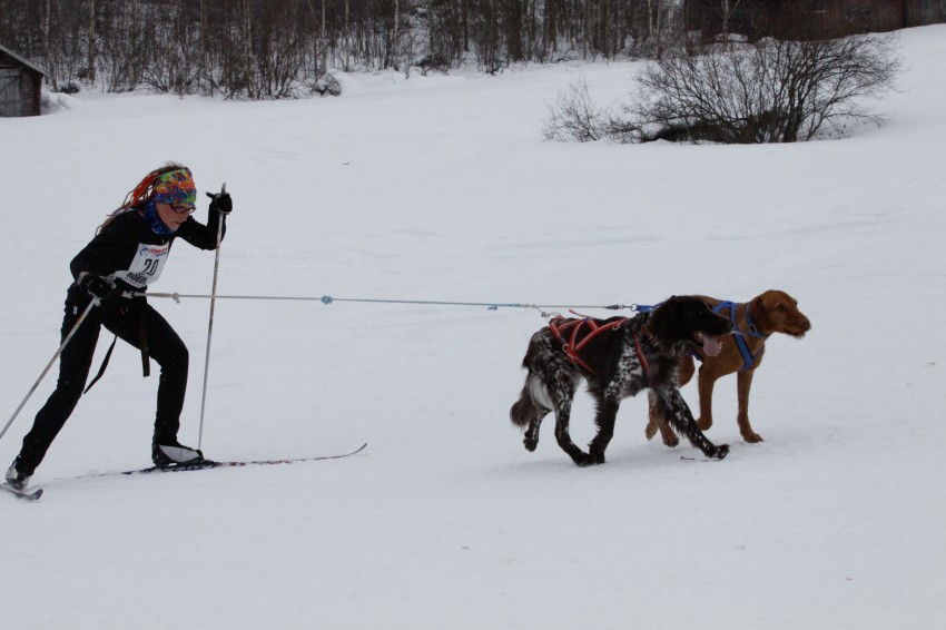 _MG_8538.jpg