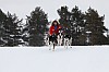 _MG_8008.jpg