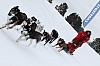 _MG_8018.jpg