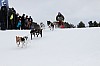 _MG_8071.jpg