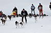 _MG_8086.jpg
