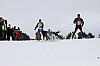 _MG_8115.jpg