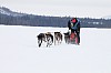 _MG_8186.jpg