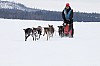 _MG_8189.jpg