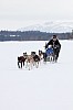 _MG_8211.jpg