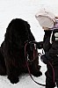 _MG_8251.jpg