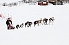 _MG_8316.jpg