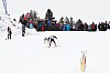 _MG_8352.jpg
