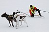 _MG_8467.jpg