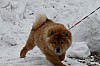 _MG_8504.jpg