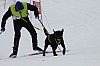 _MG_8523.jpg