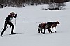 _MG_8538.jpg