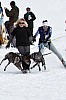 _MG_8619.jpg