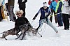 _MG_8620.jpg